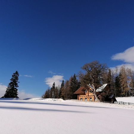 Ferienhaus Bichlhütte Pruggern Exterior foto