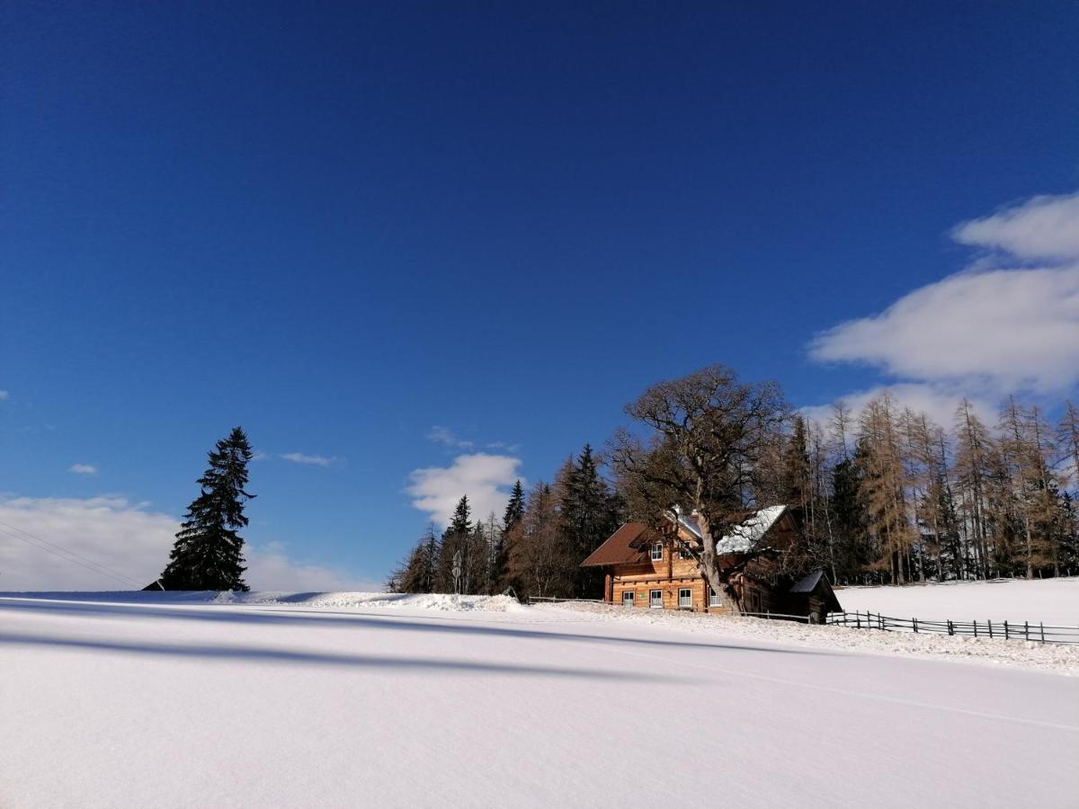 Ferienhaus Bichlhütte Pruggern Exterior foto