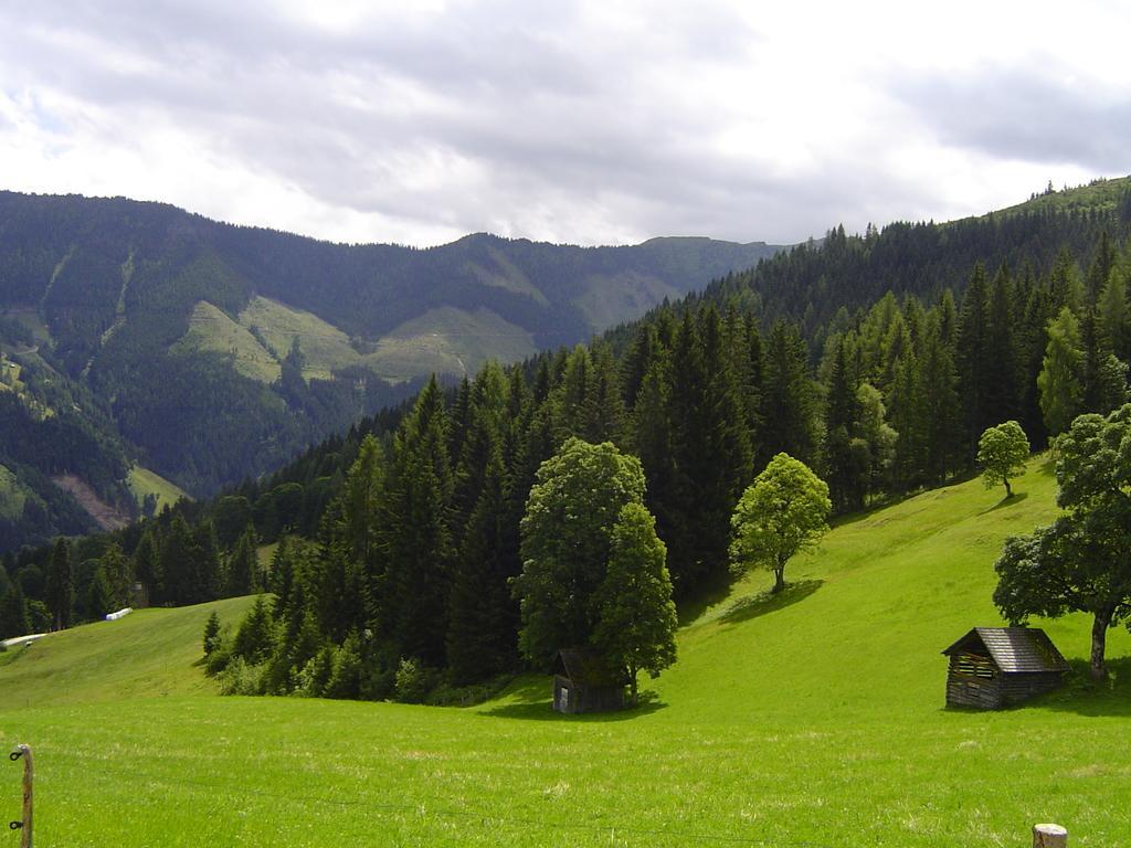 Ferienhaus Bichlhütte Pruggern Zimmer foto