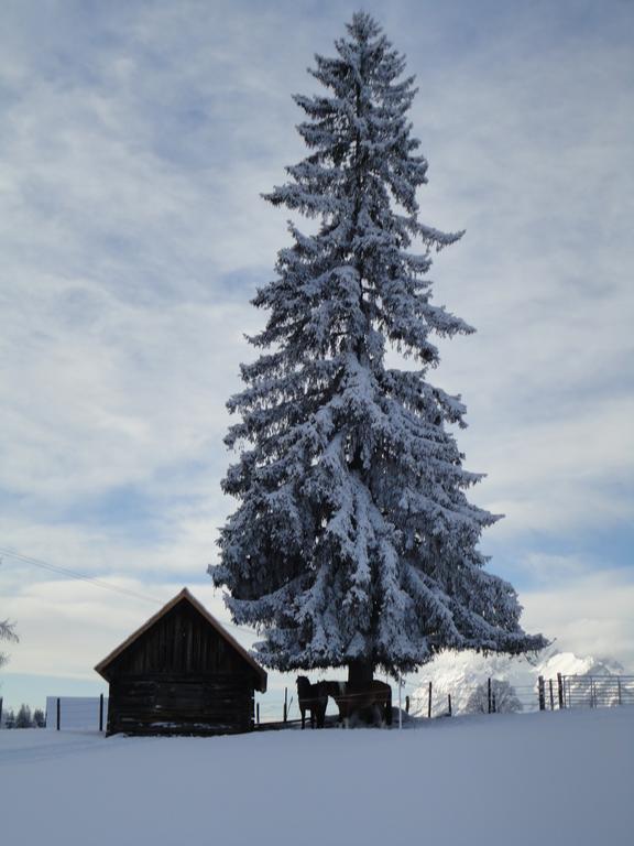 Ferienhaus Bichlhütte Pruggern Zimmer foto