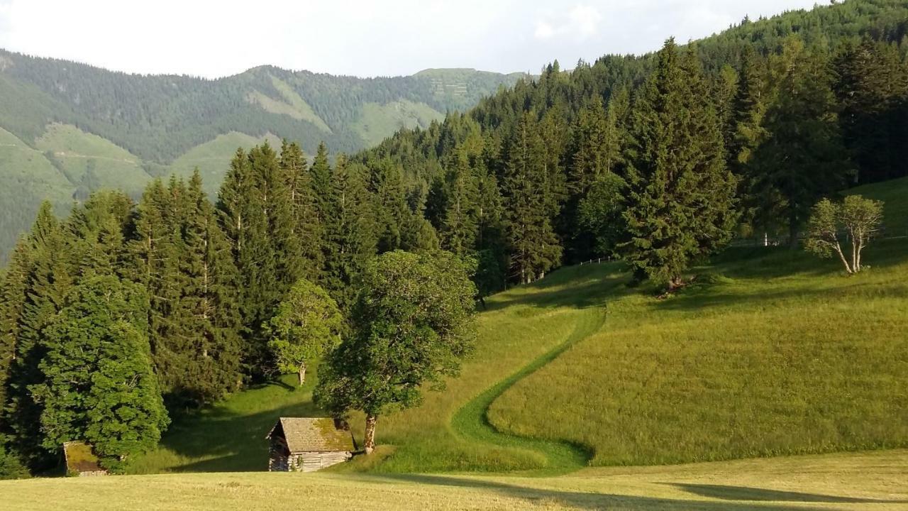 Ferienhaus Bichlhütte Pruggern Exterior foto